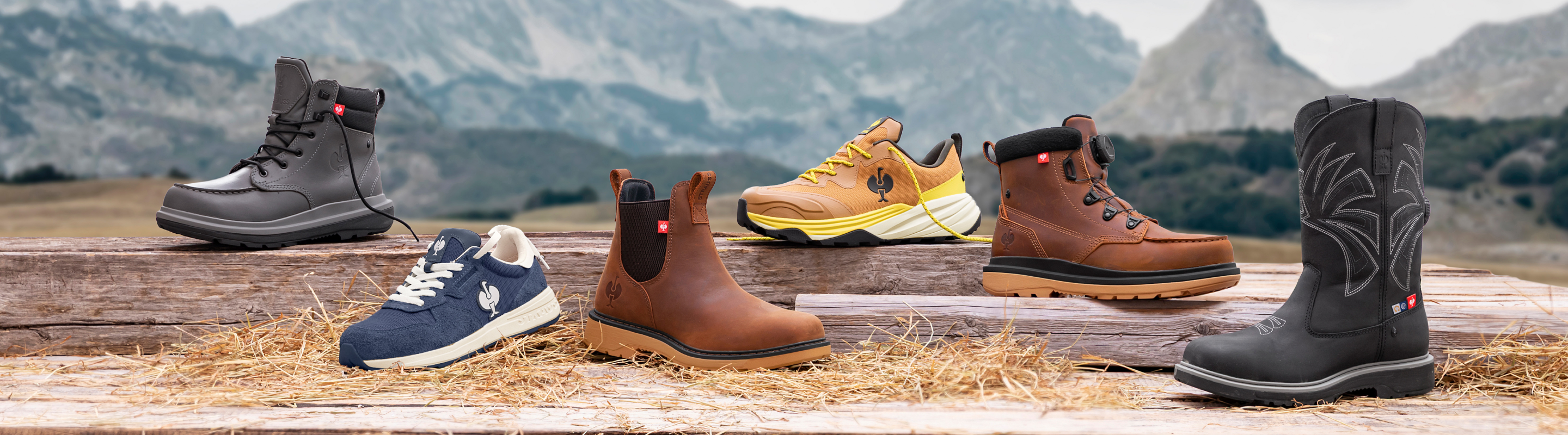 Six pairs of shoes and boots in various styles and colors are displayed on wooden logs with mountains and cloudy skies in the background.