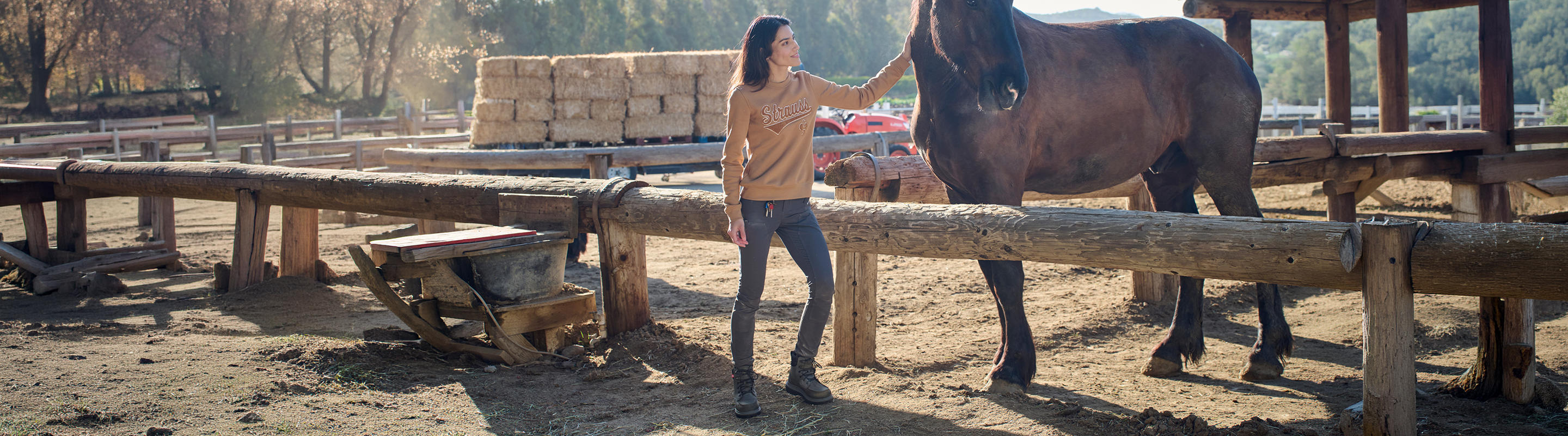 A woman in a tan sweater and dark pants stands in a rustic barn or stable, gently touching the neck of a dark brown horse beside a wooden fence.