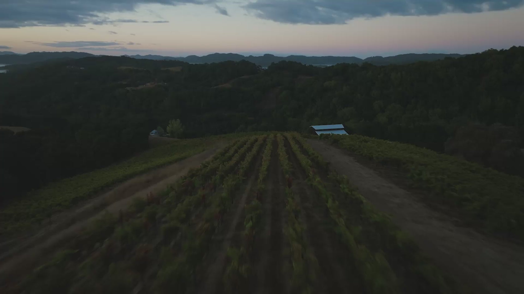 Video of Paso Robles Wine Country